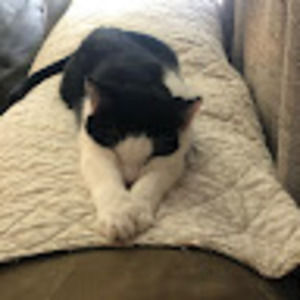 Meet your Posher, Laura